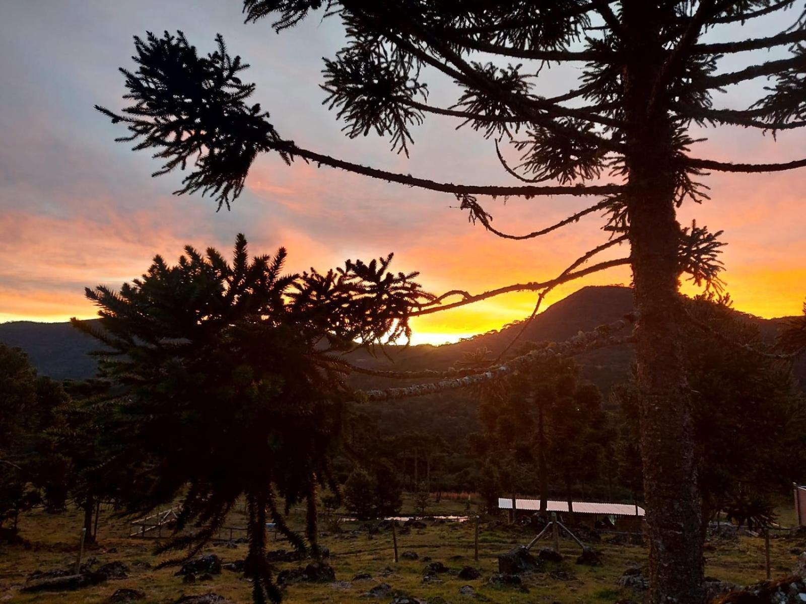 Monte Siao Chateau Urubici Εξωτερικό φωτογραφία