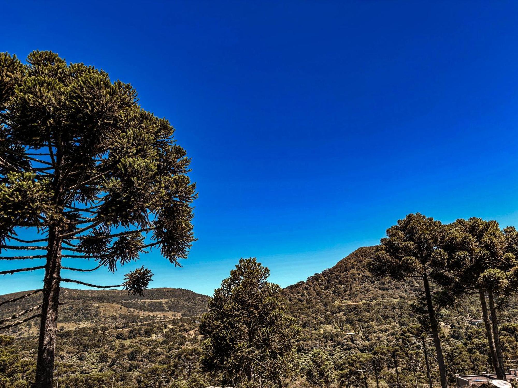 Monte Siao Chateau Urubici Εξωτερικό φωτογραφία